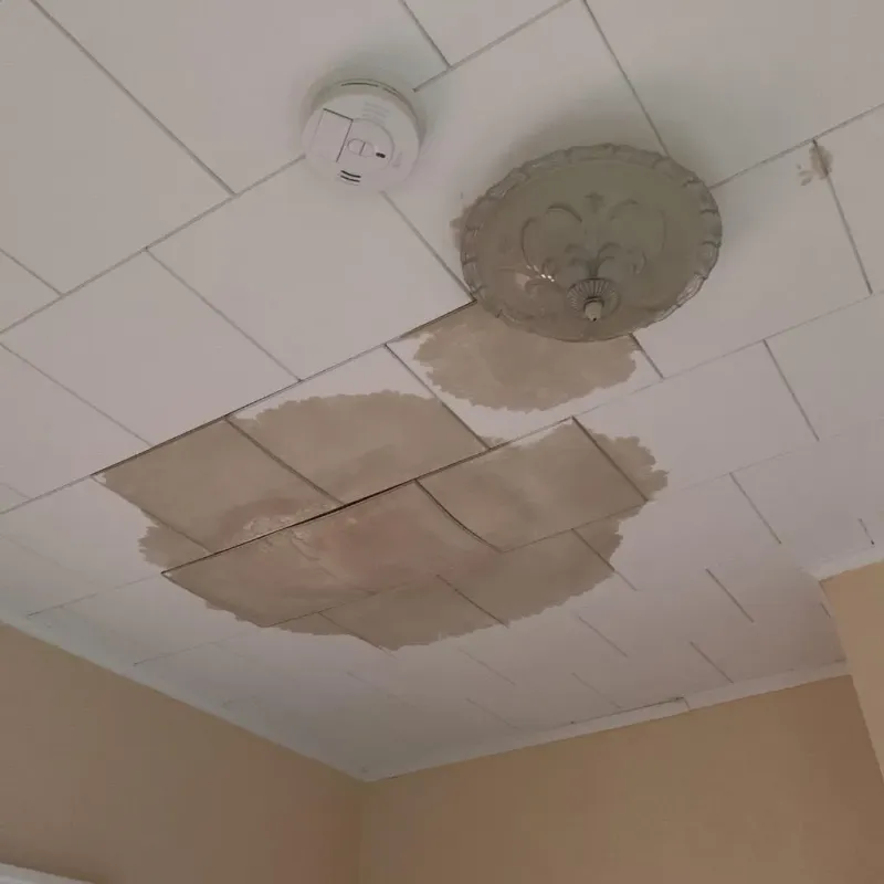 Ceiling Water Damage Repair in Boothbay Harbor, ME