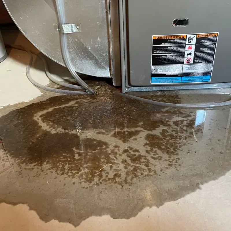 Pipe Burst and Leak Restoration in Boothbay Harbor, ME